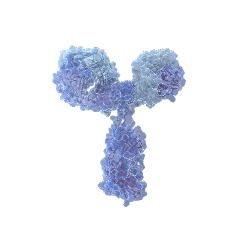 ADAMTS4 (Human) IP-WB Antibody Pair