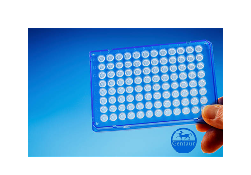 [FNab00134] ELISA  ACYP2 anti-